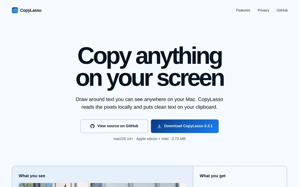 CopyLasso website