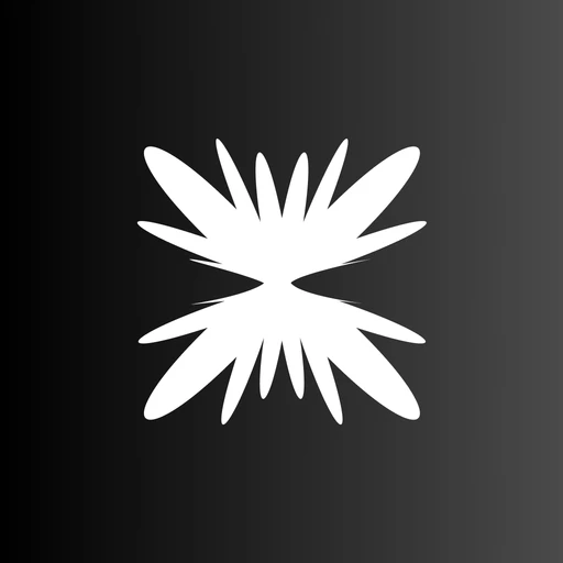 Vacarme logo